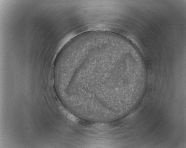 X0000078021075200611171907