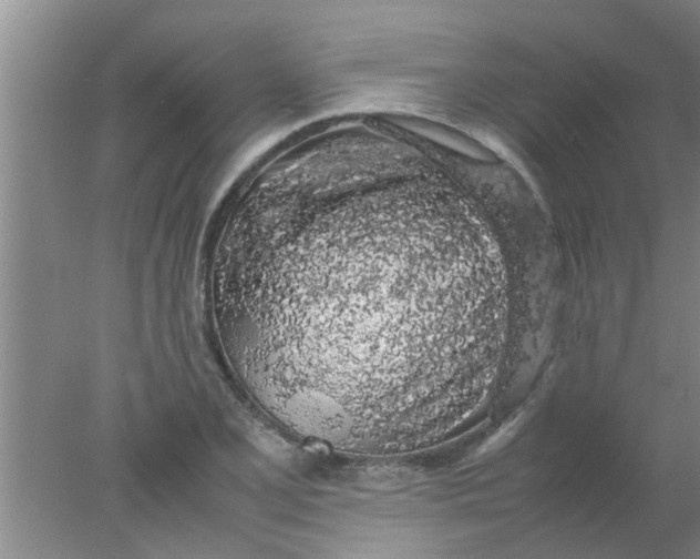 X0000078021077200611171907