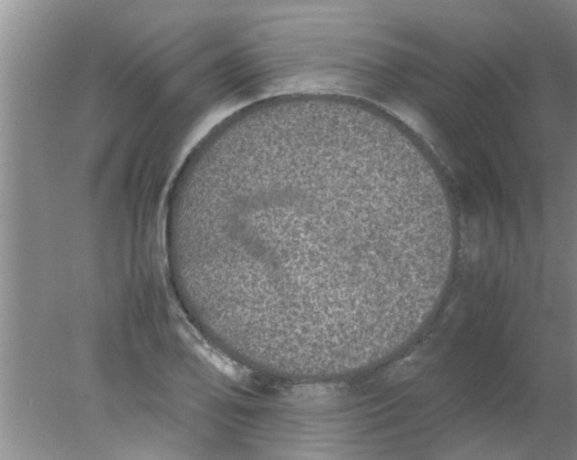 X0000078021078200611171907