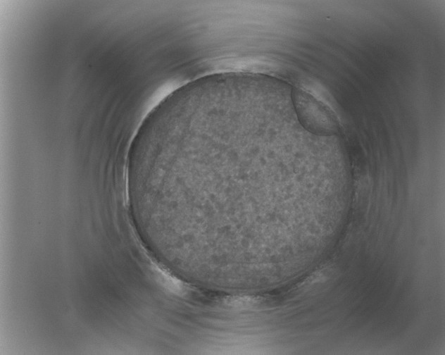 X0000078021079200611171907