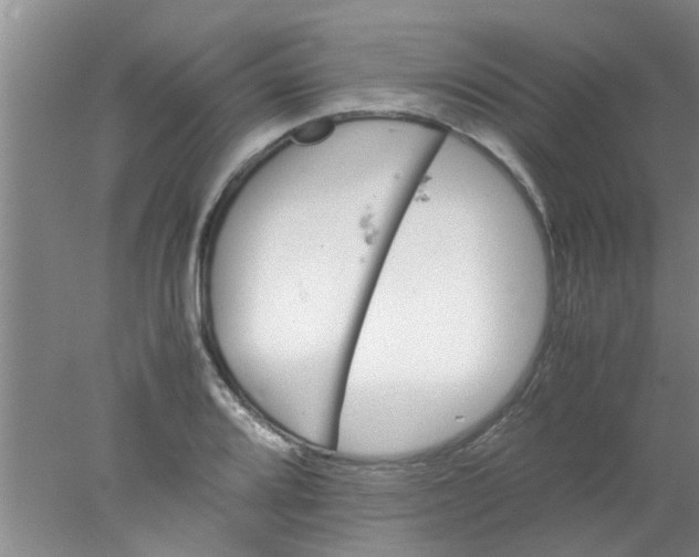 X0000078021080200611171907