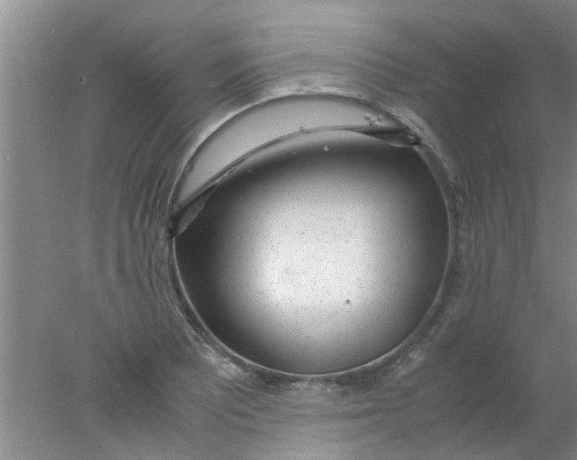 X0000078021081200611171907