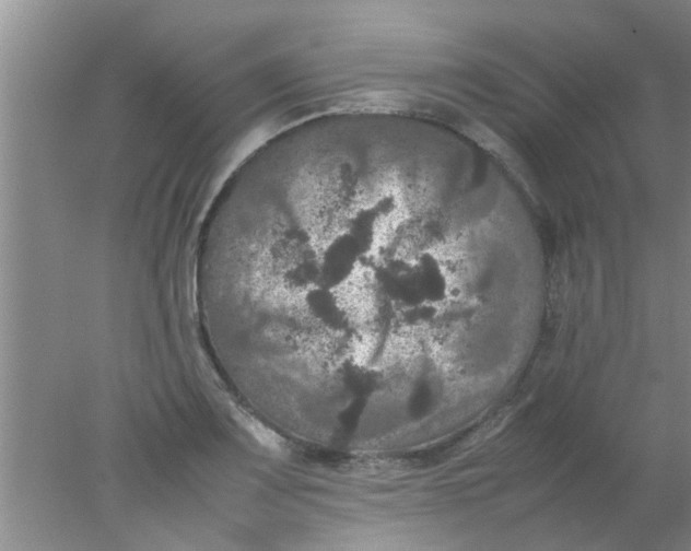 X0000078021083200611171907