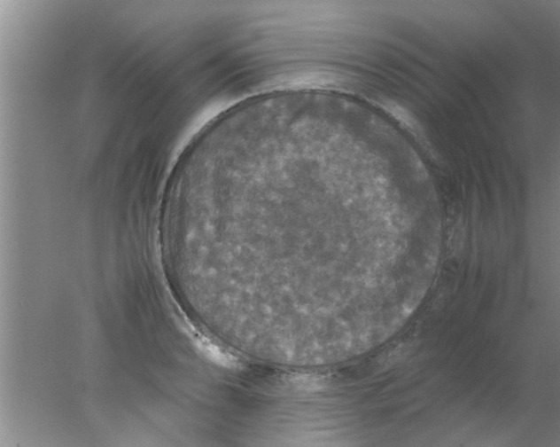 X0000078021086200611171906