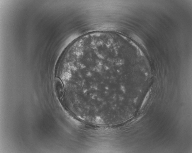 X0000078021087200611171906