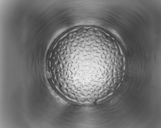 X0000078021088200611171906