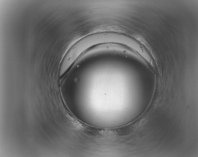 X0000078021089200611171906