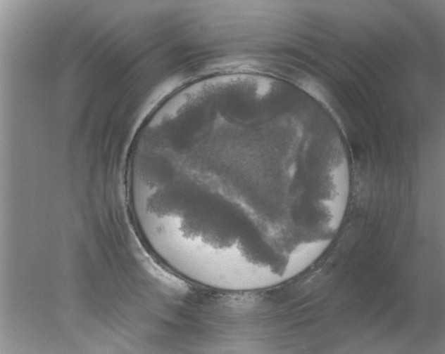 X0000078021090200611171906