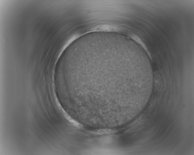 X0000078021091200611171906