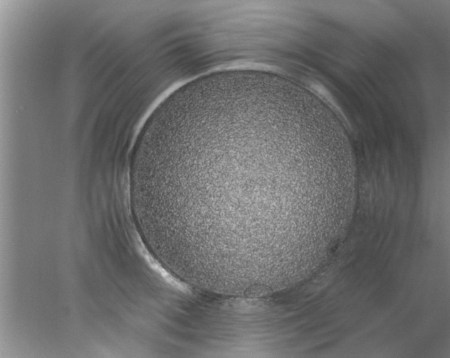 X0000078021092200611171906