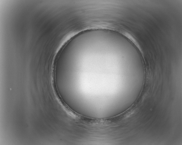 X0000078021093200611171906