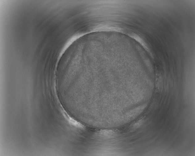 X0000078021094200611171906