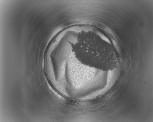 X0000078021095200611171906