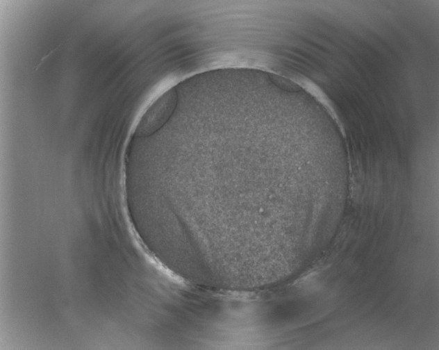 X0000078021096200611171906