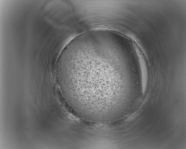 X0000078021097200611171906