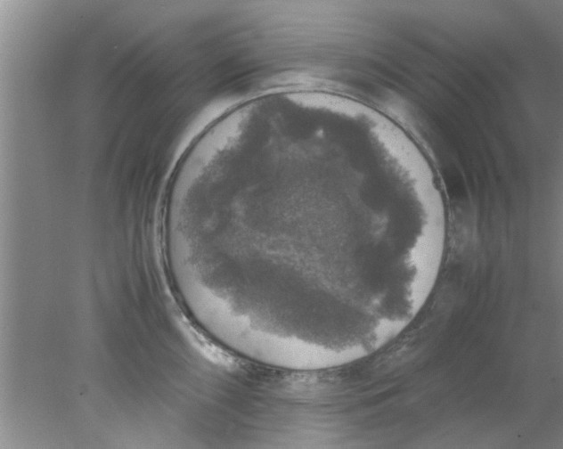 X0000078021098200611171906