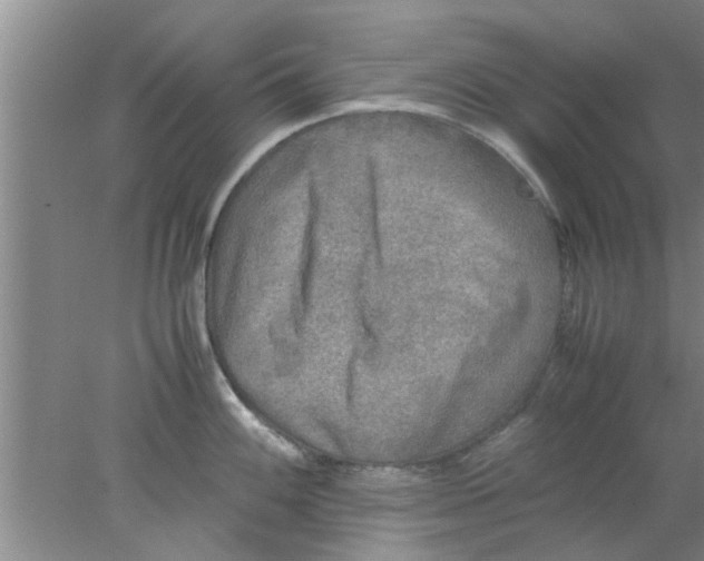 X0000078021100200611171906