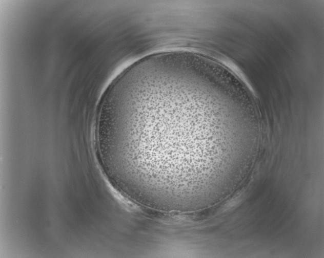 X0000078021101200611171906