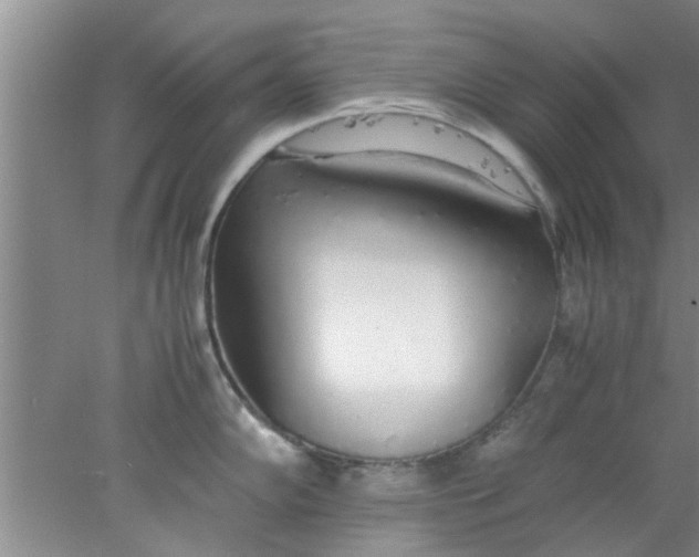 X0000078021102200611171906