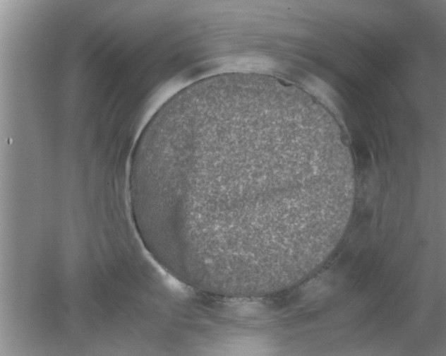 X0000078021103200611171906