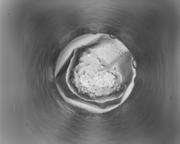 X0000078021106200611171905