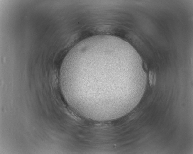 X0000078021107200611171905