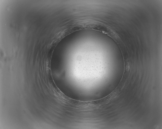 X0000078021108200611171905