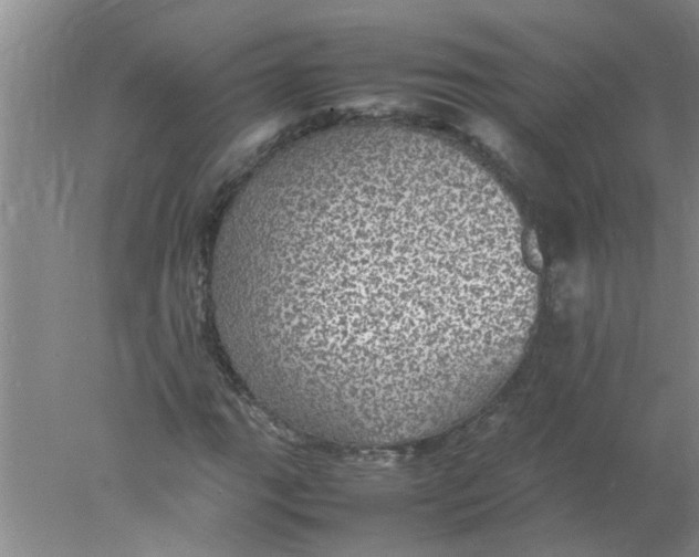 X0000078021111200611171905