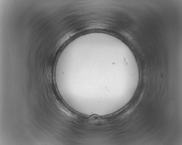 X0000078021113200611171906