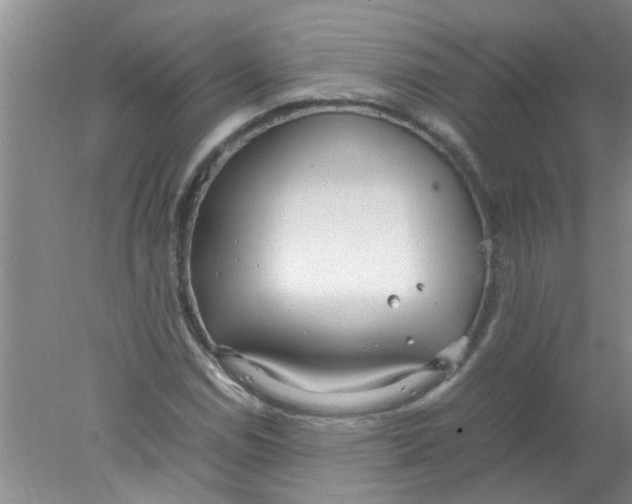 X0000078021114200611171906