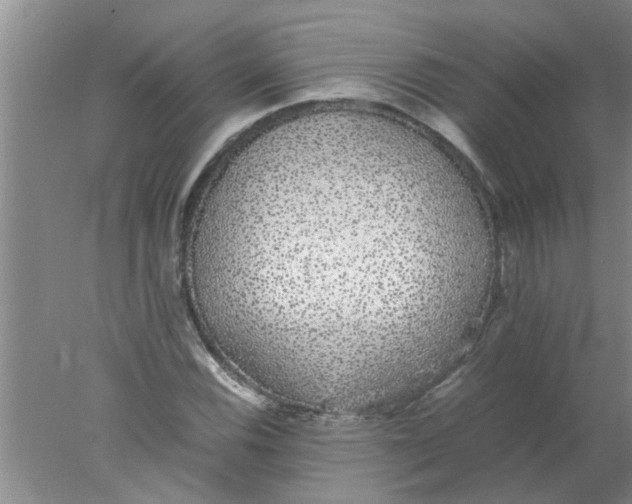 X0000078021116200611171906