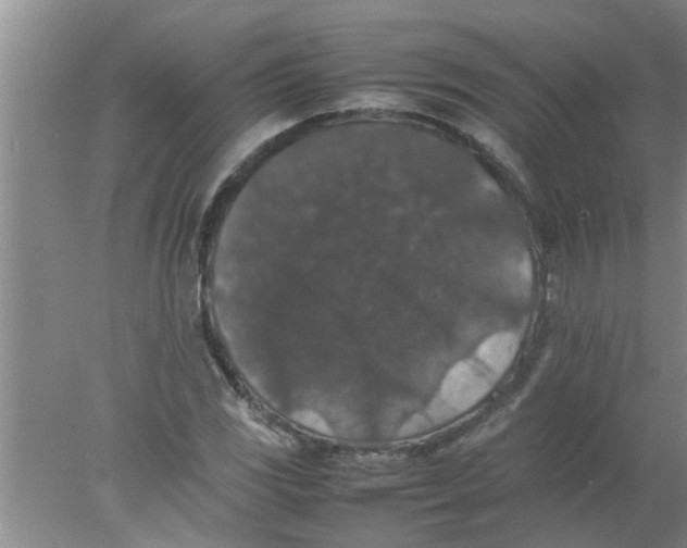 X0000078021117200611171906