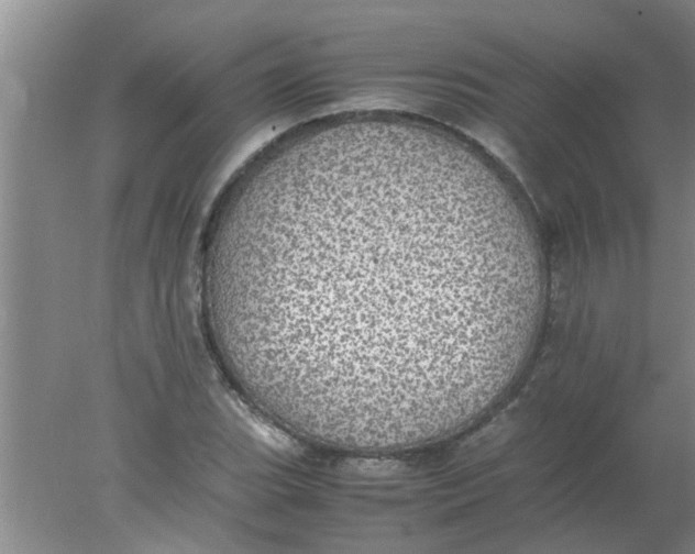 X0000078021119200611171906