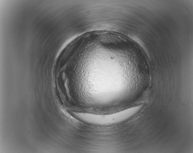 X0000078021120200611171906