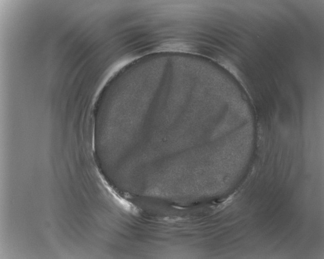 X0000078021123200611171906