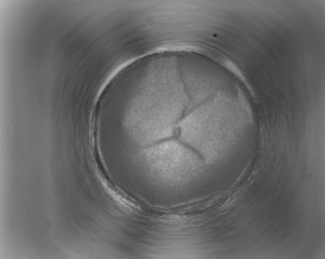 X0000078021124200611171906