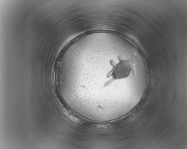 X0000078021125200611171906