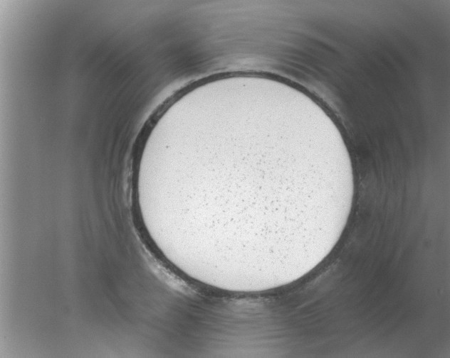 X0000078021126200611171906