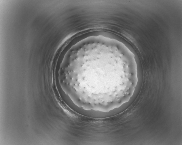 X0000078021127200611171906