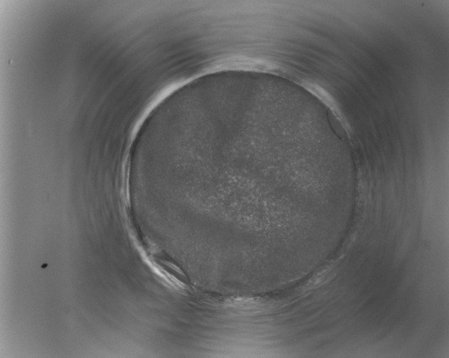 X0000078021128200611171906