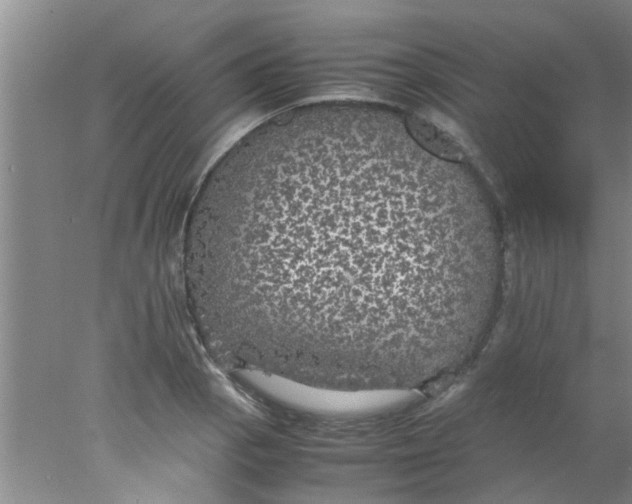 X0000078021129200611171906