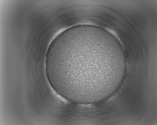 X0000078021133200611171906