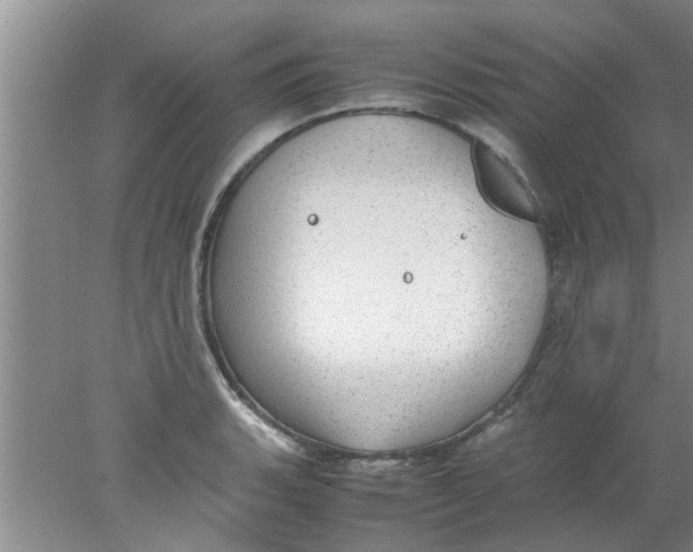 X0000078021135200611171906