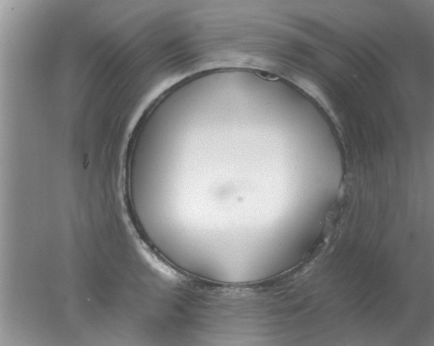 X0000078021136200611171906