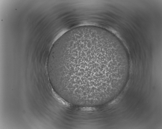 X0000078021137200611171906