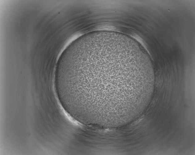 X0000078021139200611171906