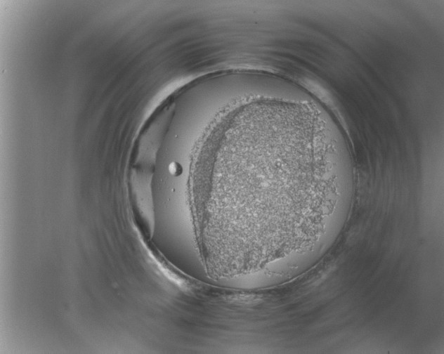 X0000078021141200611171906