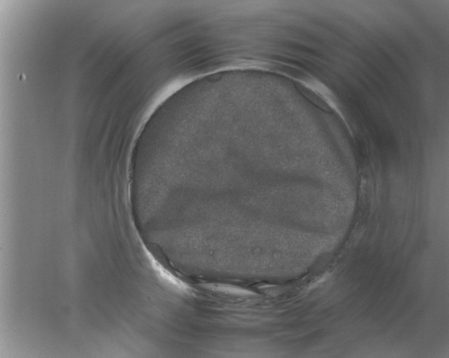 X0000078021143200611171906