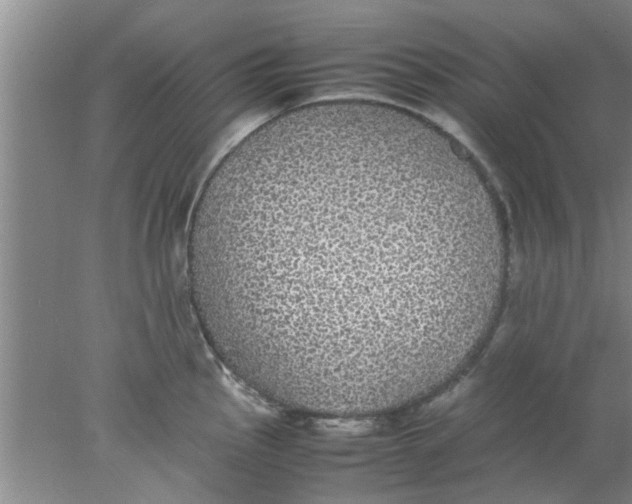 X0000078021145200611171906