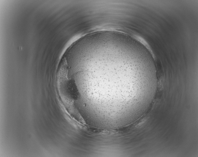 X0000078021146200611171906